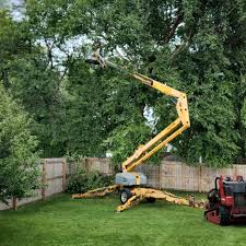 Best Lot and Land Clearing  in Jamestown, TN